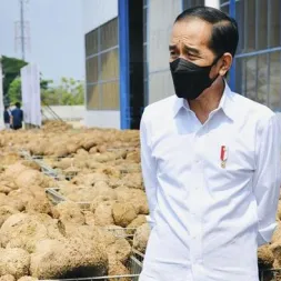 Jokowi Bakal Impor Beras Meski Panen Raya Tiba Kita Butuh Stok Tipis