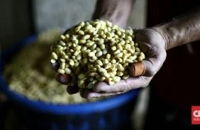 Mendag Usulkan Subsidi Kedelai Diberikan Langsung ke Importir