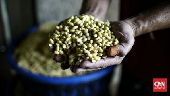 Mendag Usulkan Subsidi Kedelai Diberikan Langsung ke Importir